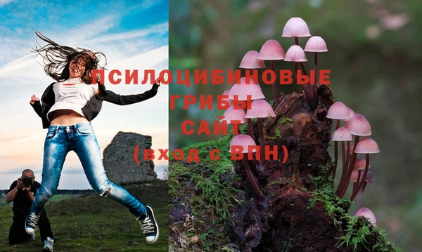 шишки Кукмор