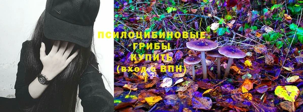 a pvp Кулебаки