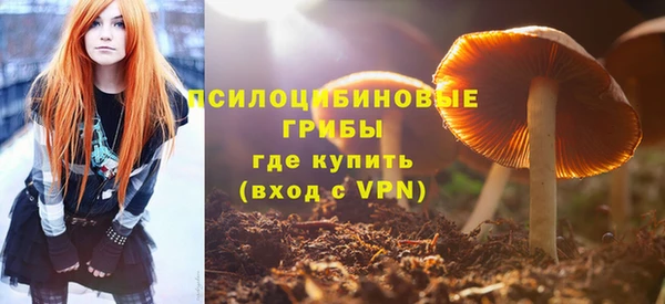 дмт Лабытнанги