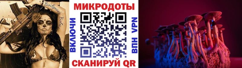 Псилоцибиновые грибы прущие грибы  купить наркоту  кракен вход  Чёрмоз 